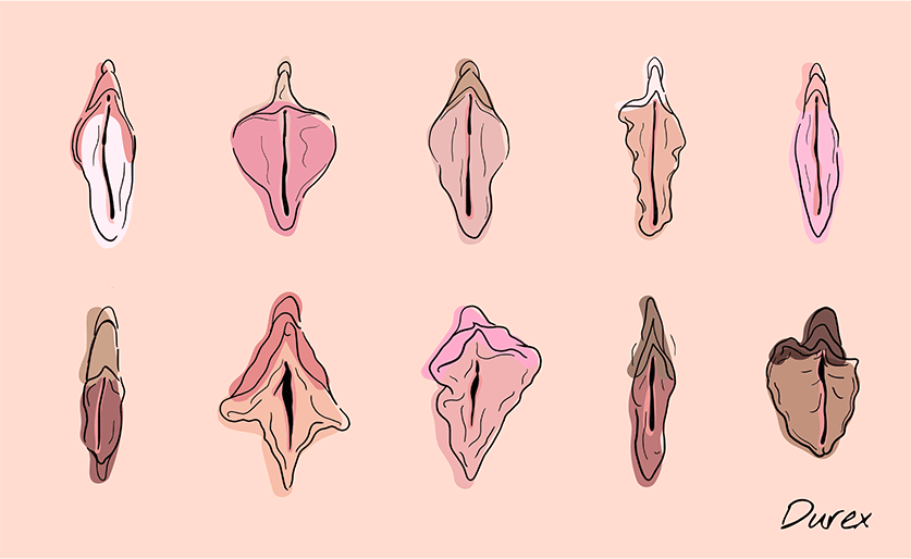Vulva Durex